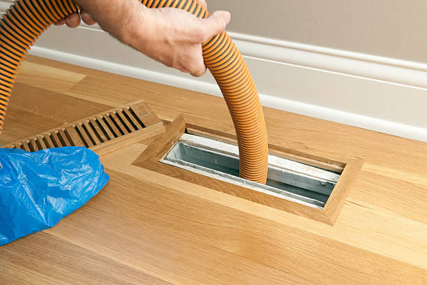Best Affordable Duct Cleaning Services  in Citrus Heights, CA