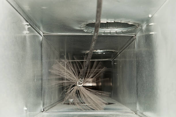 Best Air Duct Cleaning Company Near Me  in Citrus Heights, CA